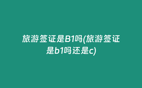 旅游签证是B1吗(旅游签证是b1吗还是c)