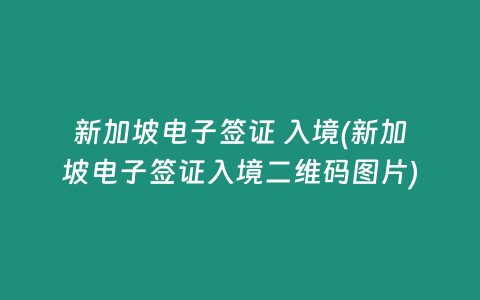 新加坡电子签证 入境(新加坡电子签证入境二维码图片)