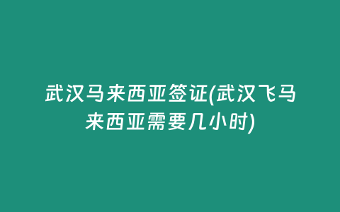 武汉马来西亚签证(武汉飞马来西亚需要几小时)