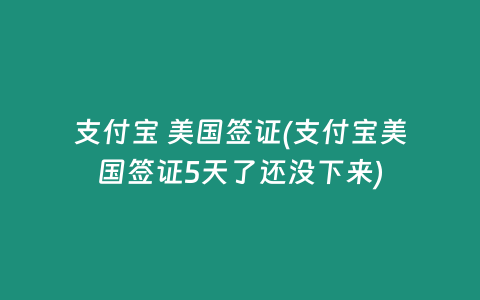 支付宝 美国签证(支付宝美国签证5天了还没下来)