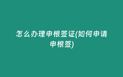 怎么办理申根签证(如何申请申根签)