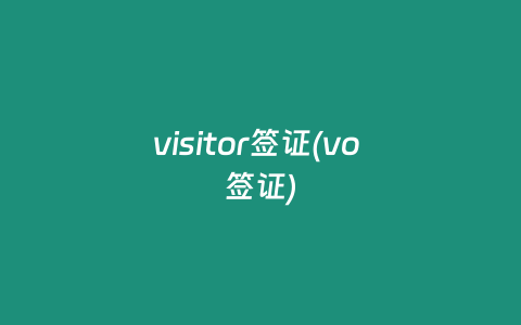 visitor签证(vo 签证)