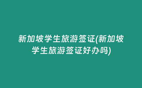 新加坡学生旅游签证(新加坡学生旅游签证好办吗)