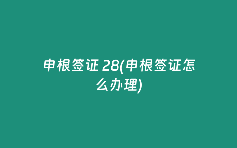 申根签证 28(申根签证怎么办理)