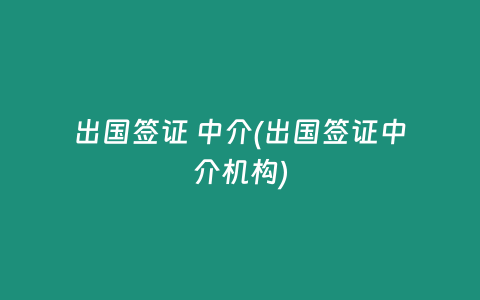 出国签证 中介(出国签证中介机构)