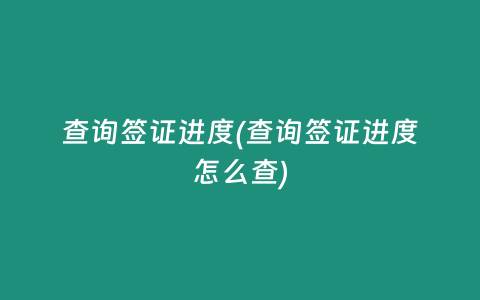 查询签证进度(查询签证进度怎么查)
