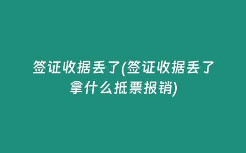 签证收据丢了(签证收据丢了拿什么抵票报销)