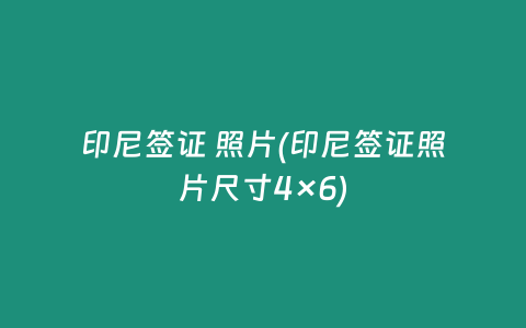 印尼签证 照片(印尼签证照片尺寸4×6)