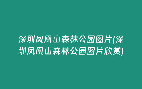 深圳凤凰山森林公园图片(深圳凤凰山森林公园图片欣赏)