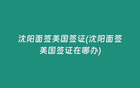 沈阳面签美国签证(沈阳面签美国签证在哪办)