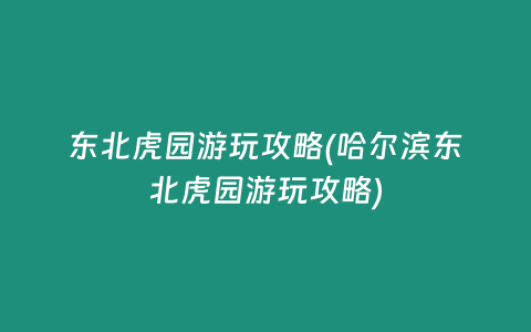 东北虎园游玩攻略(哈尔滨东北虎园游玩攻略)