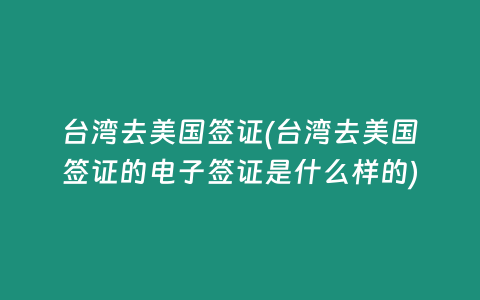 台湾去美国签证(台湾去美国签证的电子签证是什么样的)