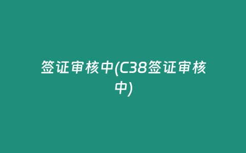 签证审核中(C38签证审核中)
