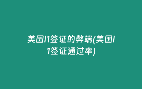 美国l1签证的弊端(美国l1签证通过率)