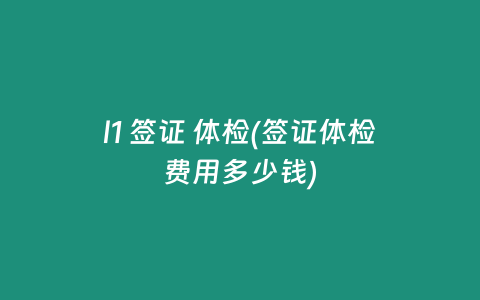 l1 签证 体检(签证体检费用多少钱)