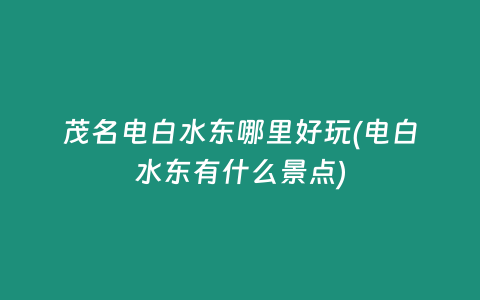 茂名电白水东哪里好玩(电白水东有什么景点)