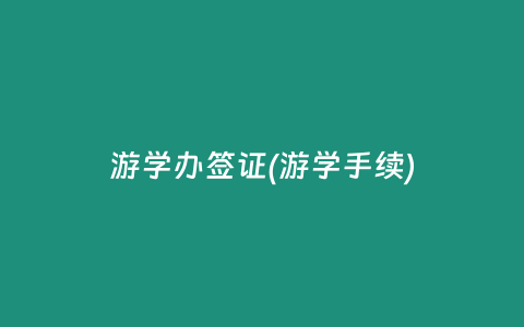 游学办签证(游学手续)