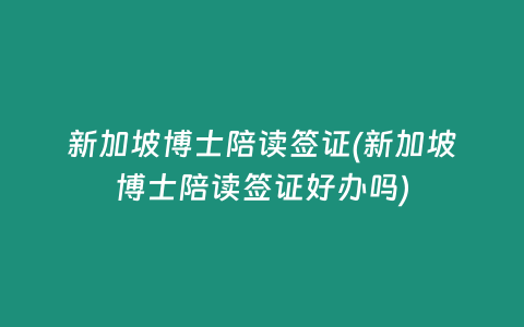 新加坡博士陪读签证(新加坡博士陪读签证好办吗)