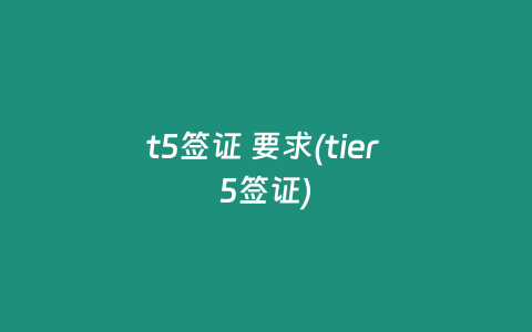 t5签证 要求(tier 5签证)