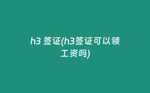 h3 签证(h3签证可以领工资吗)