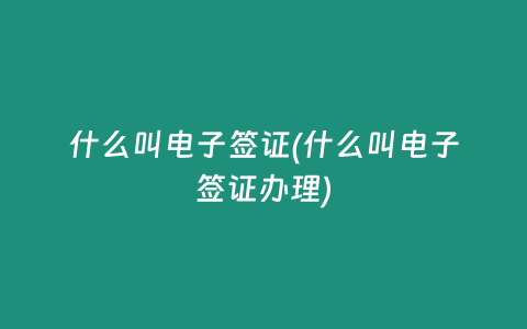 什么叫电子签证(什么叫电子签证办理)