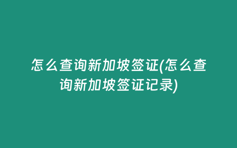 怎么查询新加坡签证(怎么查询新加坡签证记录)