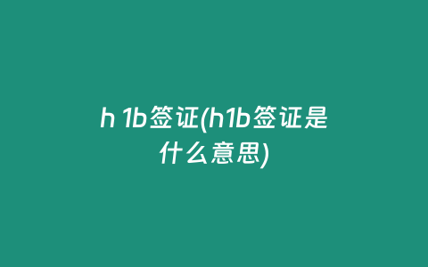 h 1b签证(h1b签证是什么意思)