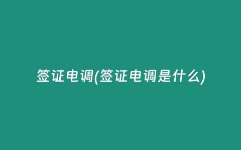 签证电调(签证电调是什么)