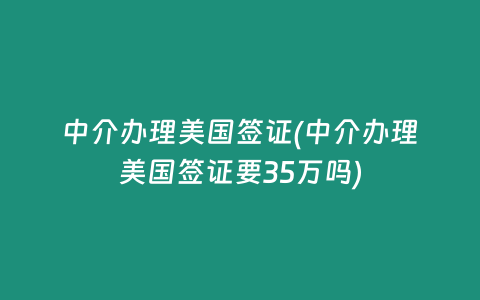 中介办理美国签证(中介办理美国签证要35万吗)