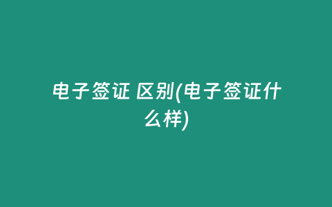 电子签证 区别(电子签证什么样)