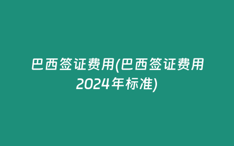 巴西签证费用(巴西签证费用2024年标准)