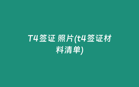 T4签证 照片(t4签证材料清单)