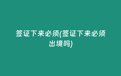 签证下来必须(签证下来必须出境吗)