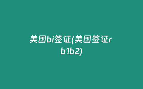 美国bi签证(美国签证r b1b2)