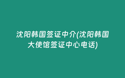 沈阳韩国签证中介(沈阳韩国大使馆签证中心电话)