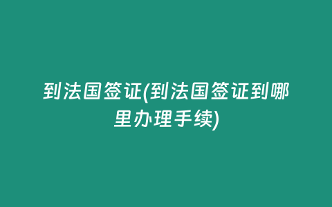到法国签证(到法国签证到哪里办理手续)