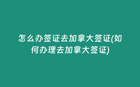 怎么办签证去加拿大签证(如何办理去加拿大签证)