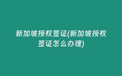 新加坡授权签证(新加坡授权签证怎么办理)
