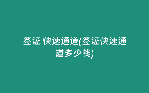 签证 快速通道(签证快速通道多少钱)