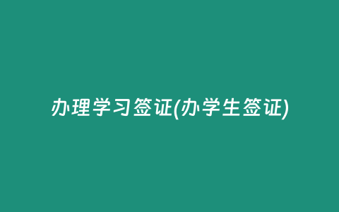 办理学习签证(办学生签证)