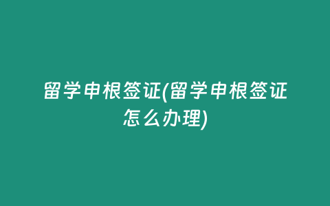 留学申根签证(留学申根签证怎么办理)