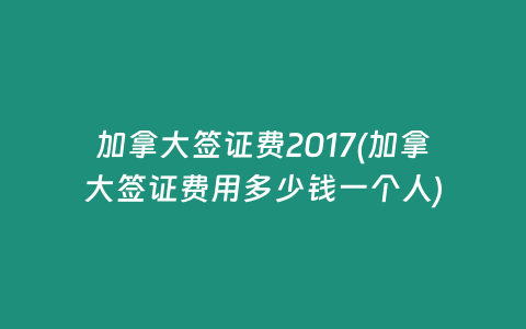 加拿大签证费2017(加拿大签证费用多少钱一个人)