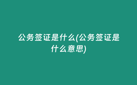 公务签证是什么(公务签证是什么意思)