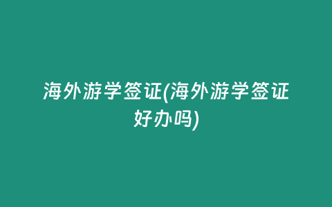 海外游学签证(海外游学签证好办吗)
