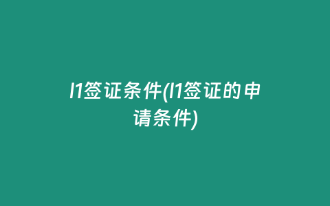 l1签证条件(l1签证的申请条件)