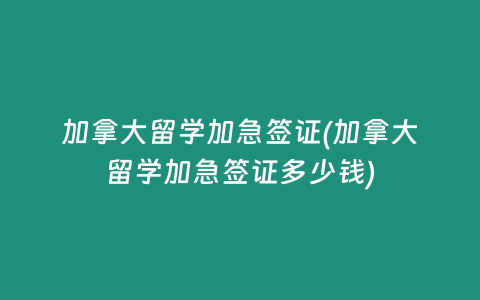 加拿大留学加急签证(加拿大留学加急签证多少钱)