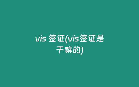 vis 签证(vis签证是干嘛的)
