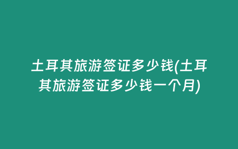 土耳其旅游签证多少钱(土耳其旅游签证多少钱一个月)