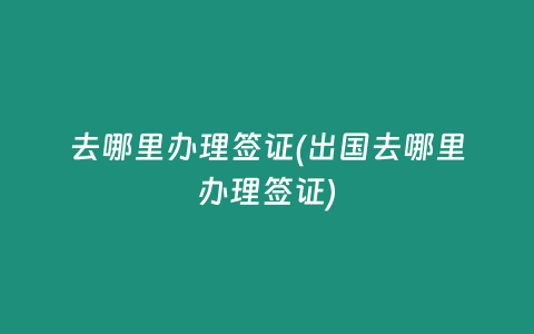 去哪里办理签证(出国去哪里办理签证)