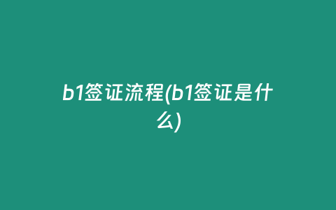 b1签证流程(b1签证是什么)